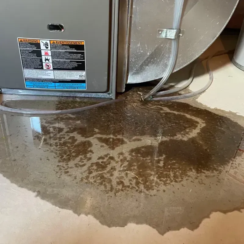 Appliance Leak Cleanup in Clive, IA